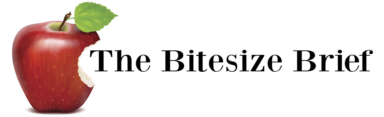 The Bitesize Brief Image